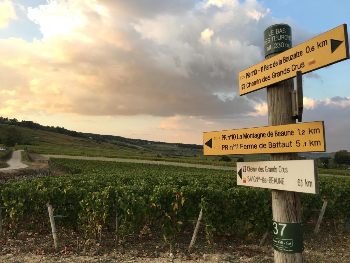 Le Gite De Tassigny Meursault Ngoại thất bức ảnh